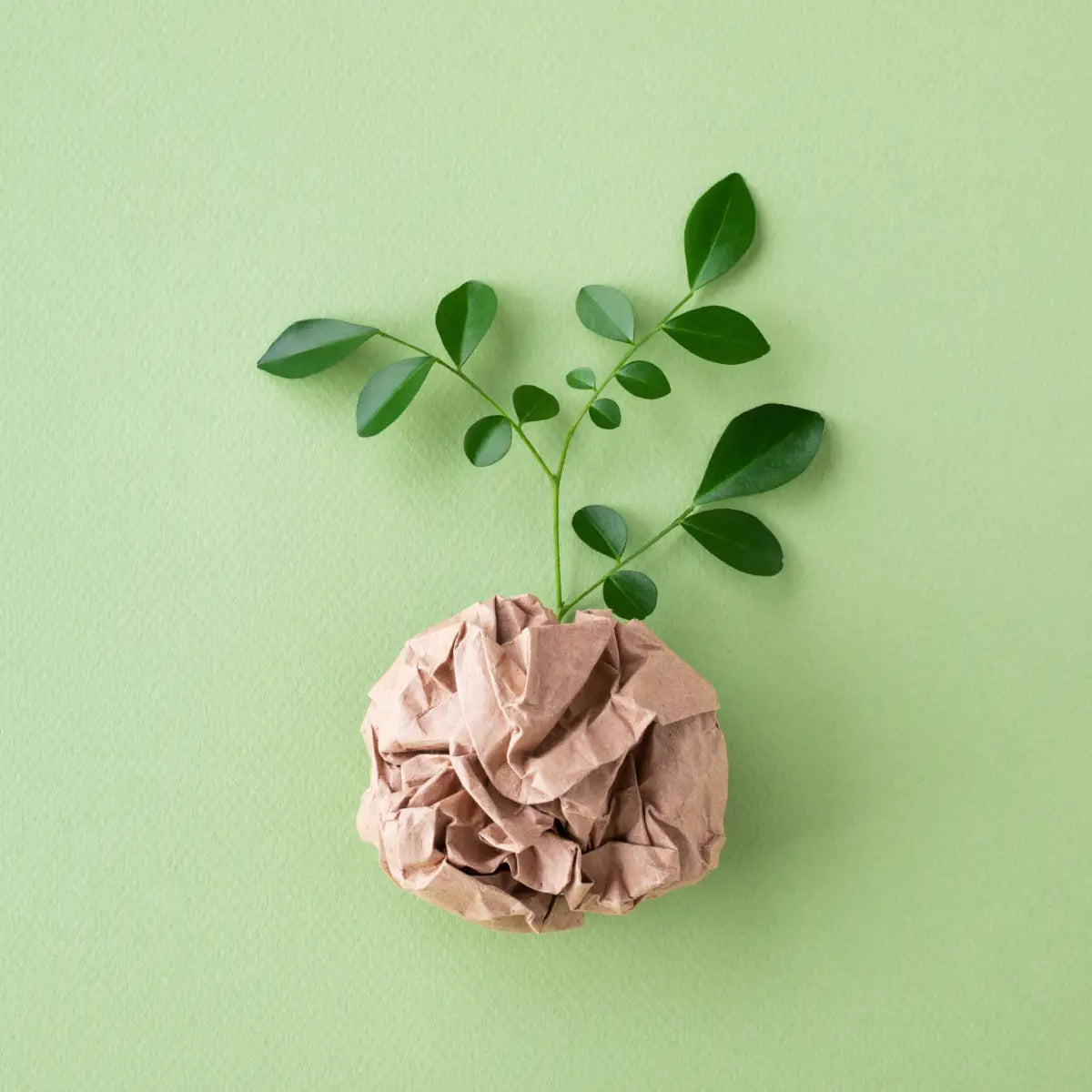Rametto verde che cresce da una palla di carta riciclata su sfondo verde pastello