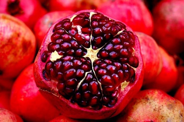Dalla ricerca Esserre Pharma nell’immuno-nutrizione arriva IMPROVE®