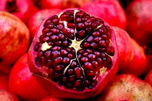 Dalla ricerca Esserre Pharma nell’immuno-nutrizione arriva IMPROVE®