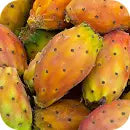 Nopalis: