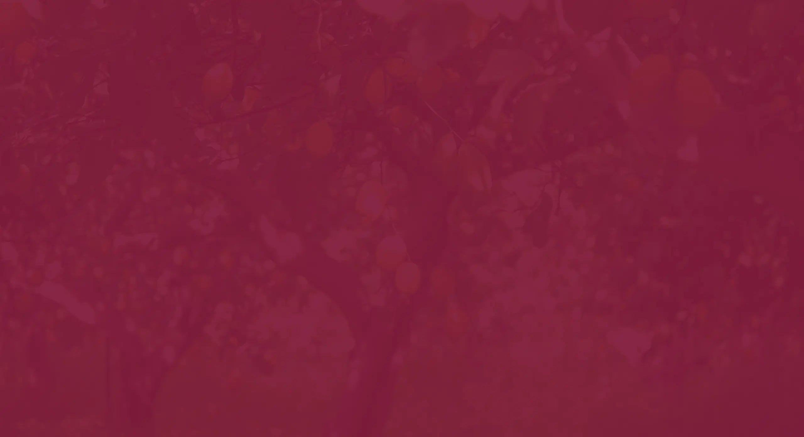 Immagine sfondo con alberi di limoni e filtro bordeaux sopra